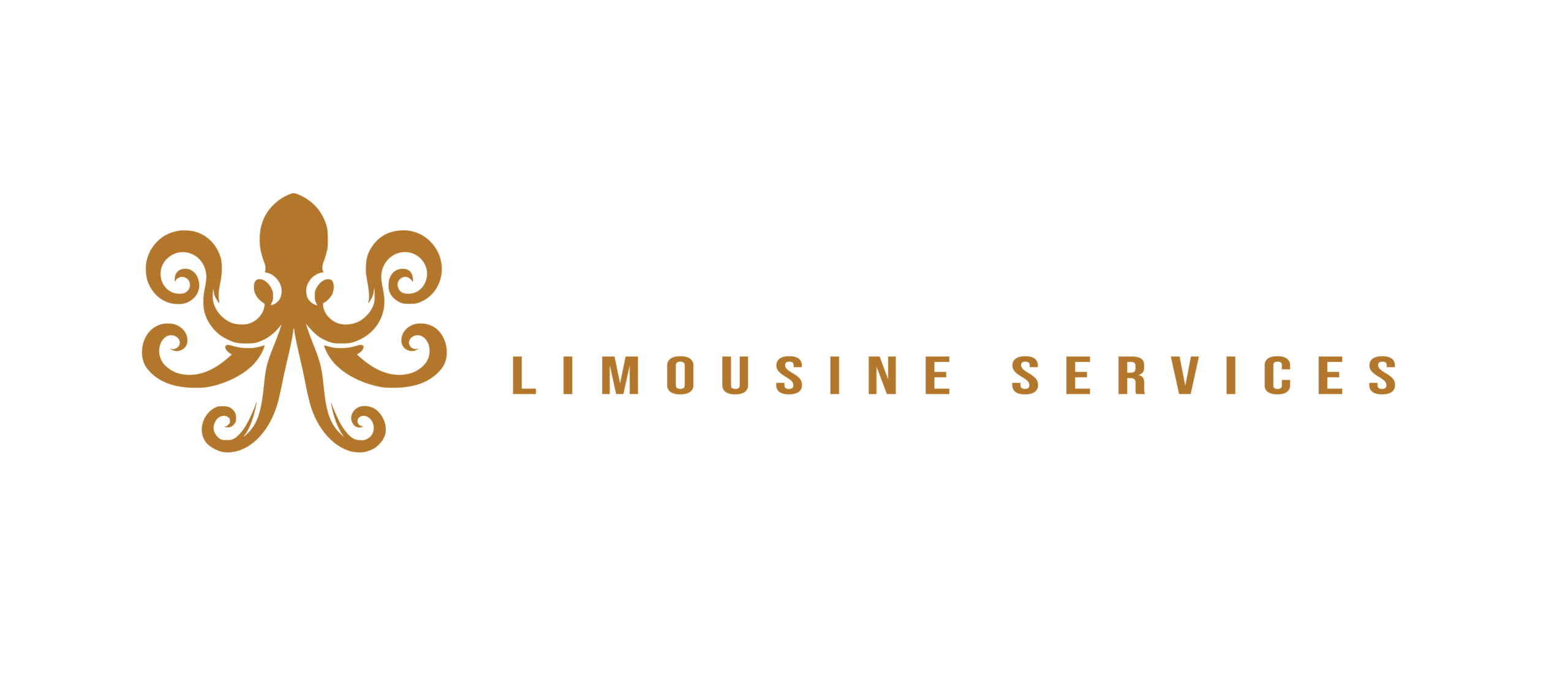 Deluxe Premiere Limousine Services